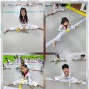 새고려태권도장 이미지