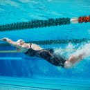 함평축구장 이미지