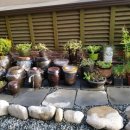 13단지메가홈즈공인중개사사무소 이미지