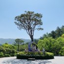 전남20. 함평군 관광 이미지