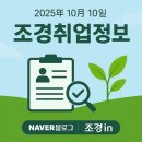 주식회사 도영건축사사무소 | 2025.10.10. 조경취업정보