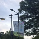 땡겨PC | 폭우 속 2025 성남 파크콘서트 후기