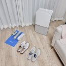 뽀송이 운동화 세탁 | 위닉스 뽀송 인버터 제습기 22L 신제품 2주 후기, 빨래 신발 건조 사용법도 쉬워 추천