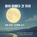 싹트는 날개 이미지