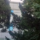 조경BJ