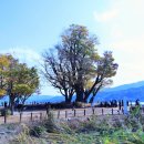 _나루터로2-11 이미지