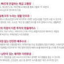 스텔라레지던스