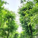 대곡1단지앞 이미지