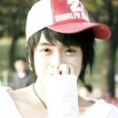 달콤한 민들레의 속 이미지