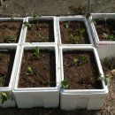 노루메농장 이미지