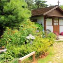 꽃섬나드리 이미지