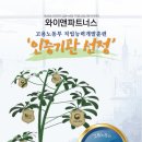 보험코칭아카데미 이미지