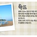 해피월드종이학