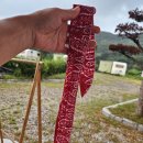 인터쿨 | 여름 필수템, J2K 아이스 머플러 쿨스카프