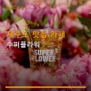 오션플라워 - 서초구 반포대로 316 | 제주도 맛집 카페 수퍼플라워 방문 후기 수퍼플라워 가성비 좋은 오션뷰와 독특한 전시 감상법