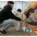 승재 농장 이미지