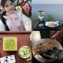 낙원밤바다 | 여자 묵호 혼자여행 1박2일 뚜벅이 완벽 코스 추천 1일차! 말차카페 혼술집 논골담길 후기