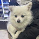 모텔오즈의마법사