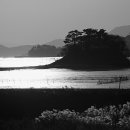 순천만 풍경 이미지