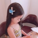 쇼카페