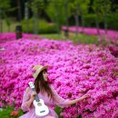 화랑마을-4 이미지