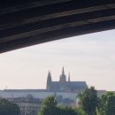 백조민박 이미지