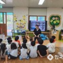 봉황초교병설유치원 이미지