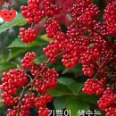 공간까페
