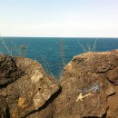 제주돌담 이미지