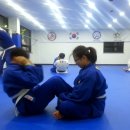 경희대유도관 이미지