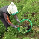 열두바구니 이미지