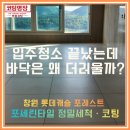 발도스커피프라임캐슬점 | 창원 사화 롯데캐슬포레스트 포세린타일 얼룩 제거 후...타일 침투형코팅 · 현관 하드세라믹코팅 후기