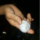 우박이네 이미지