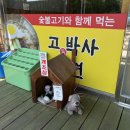 고박사냉면 이미지