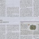 바로e두부야 Daum카페