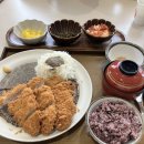 비오동