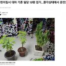 보배유치원 이미지