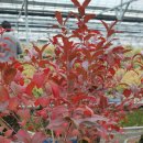 추계농장 이미지