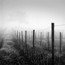 나의아름다운세탁소 이미지