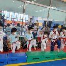 국가대표 독수리 태권도장 이미지