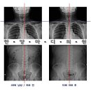 한양마디의원 이미지