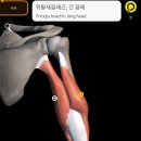 즐거운피티샵(개봉점) 이미지