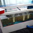 대복수산직판장 이미지