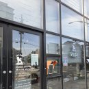 조아독 | 속초 애견미용 후기 _조아독 (내돈내산)