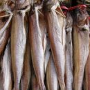 금강요양병원 이미지