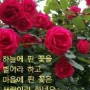 사호경로당 네이버블로그