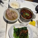 자이언트포레스트 | 동물원 하루에 4곳 정복하기! 만다이 레인포레스트, 버드 파라다이스, 리버 원더스, 나이트 사파리 후기