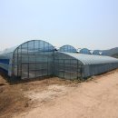 부산면사무소 이미지