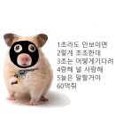 머물터