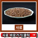 현대가축인공수정소 | 사료 사료되다 사료됩니다 뜻 현대 고양이 한일